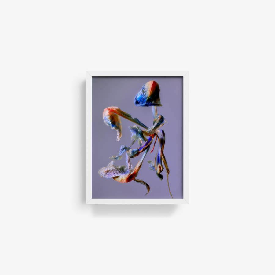 Photography by Jacques Brun