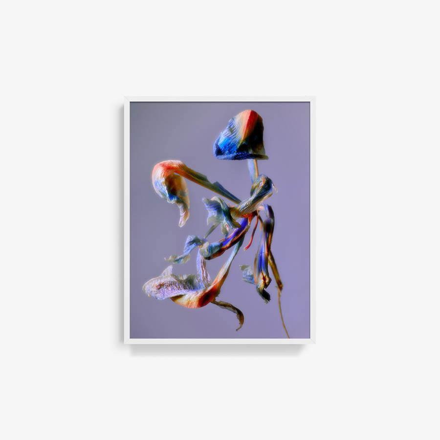 Photography by Jacques Brun