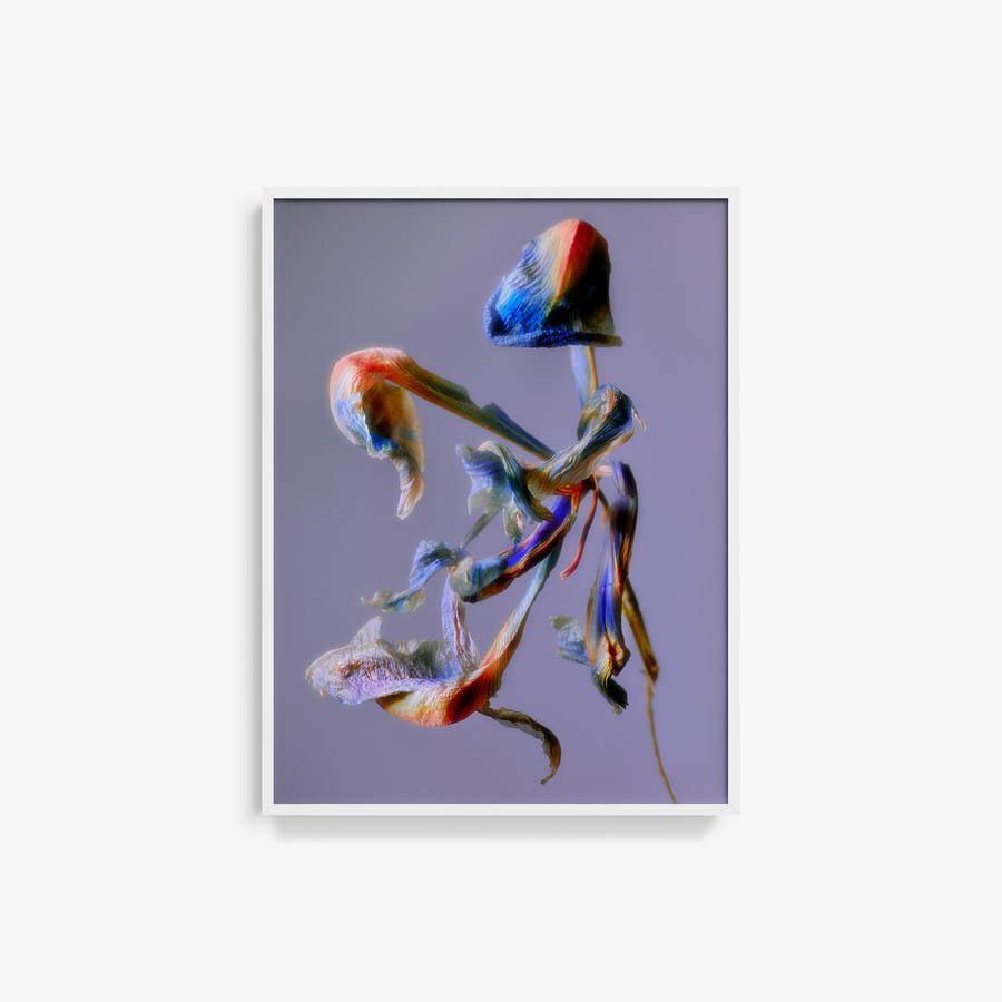 Photography by Jacques Brun