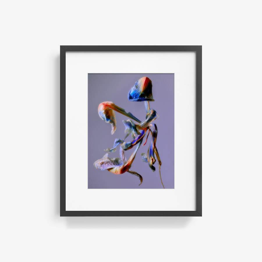 Photography by Jacques Brun