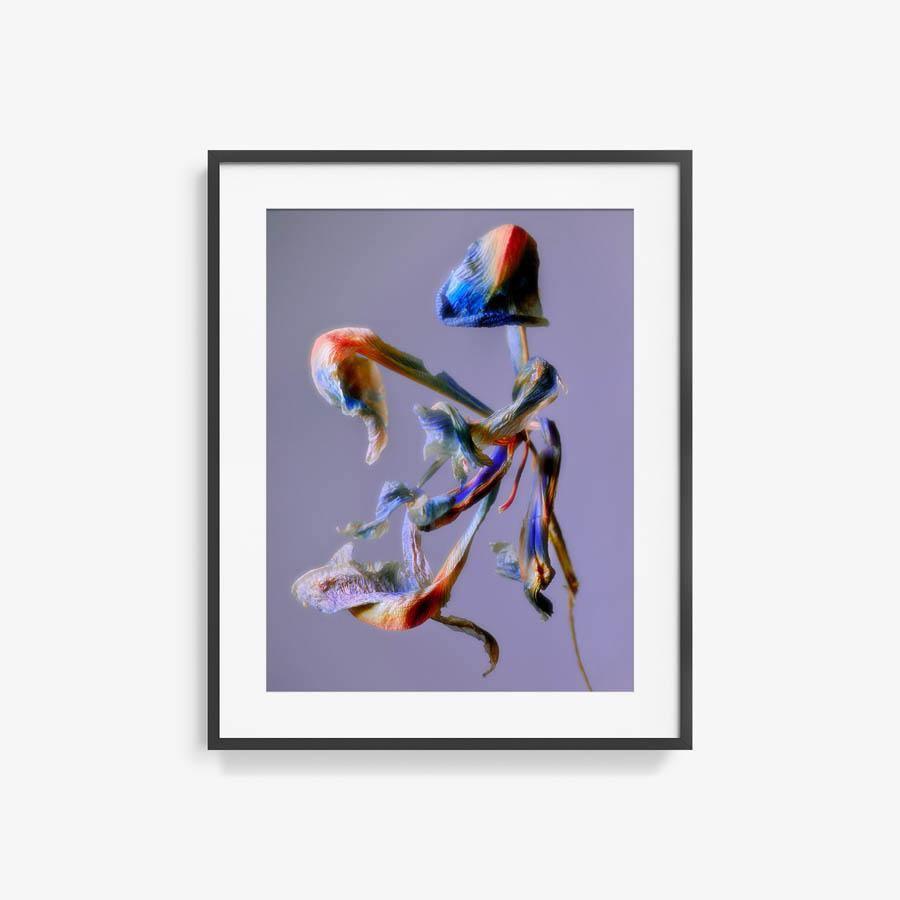 Photography by Jacques Brun