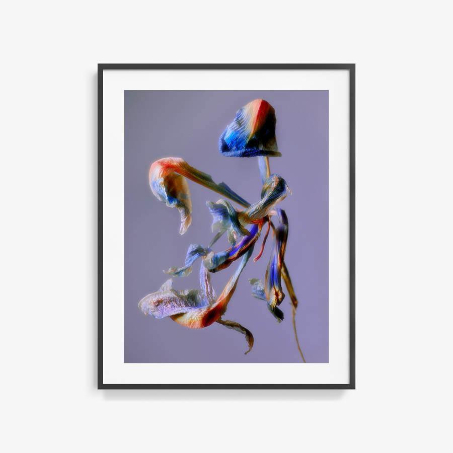 Photography by Jacques Brun