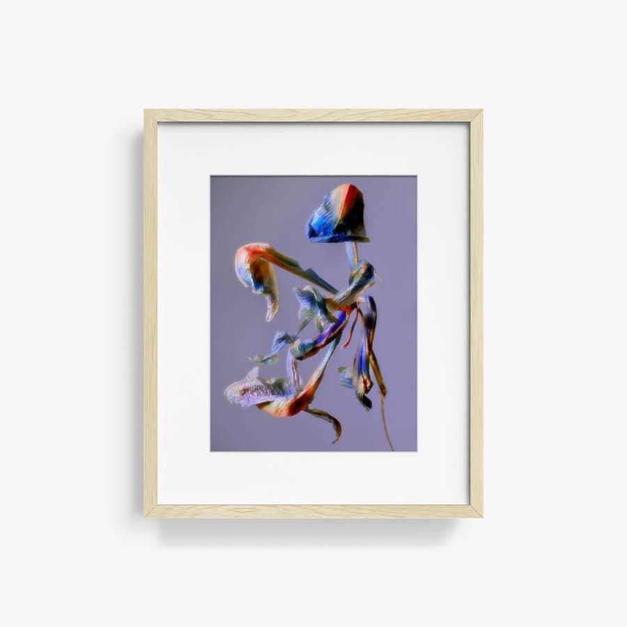 Photography by Jacques Brun