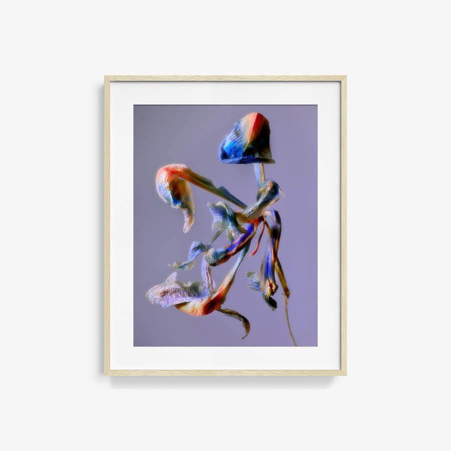 Photography by Jacques Brun