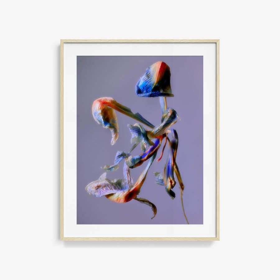 Photography by Jacques Brun