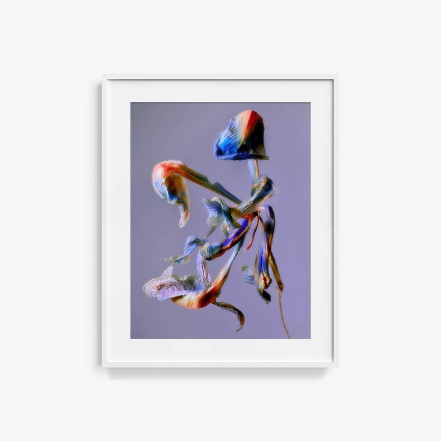 Photography by Jacques Brun