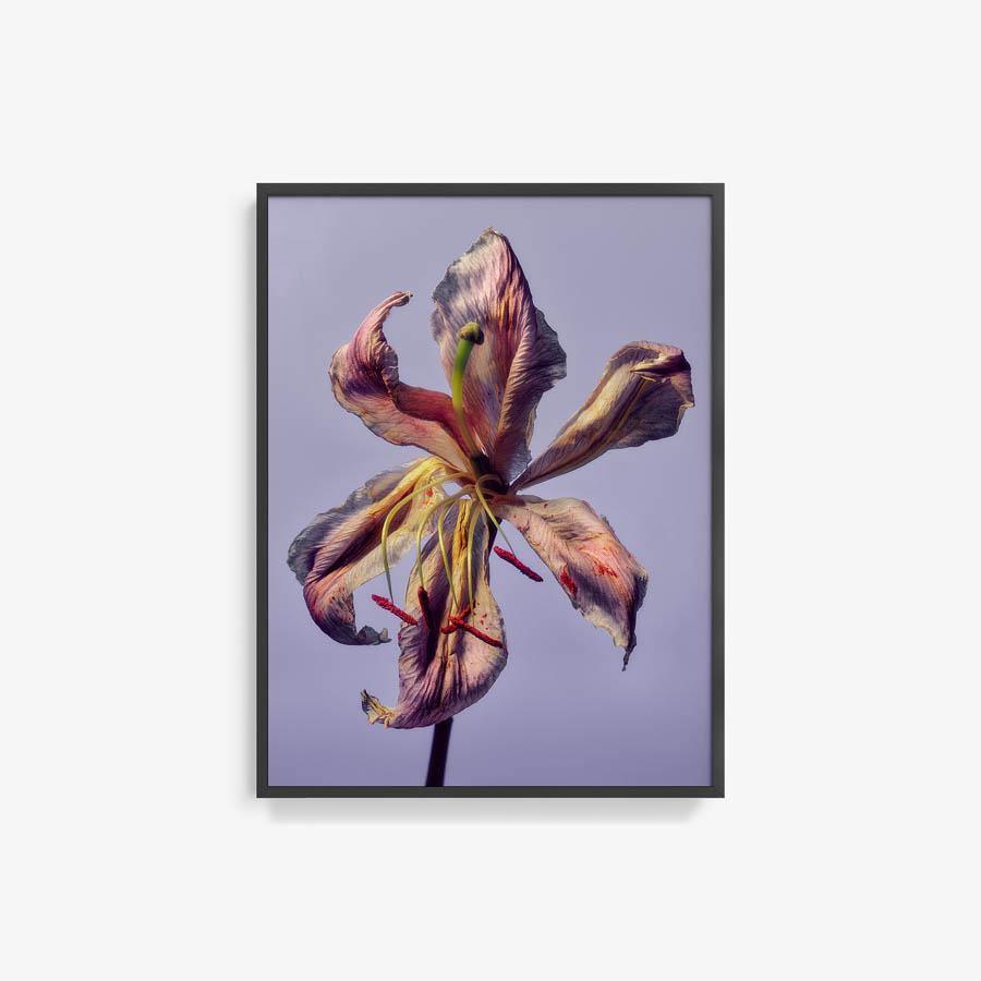 Photography by Jacques Brun