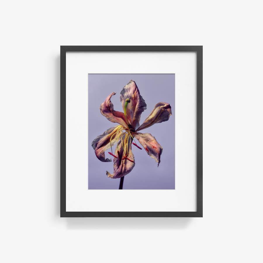 Photography by Jacques Brun