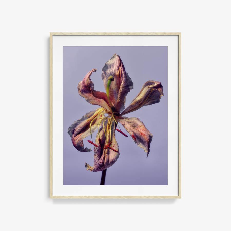 Photography by Jacques Brun