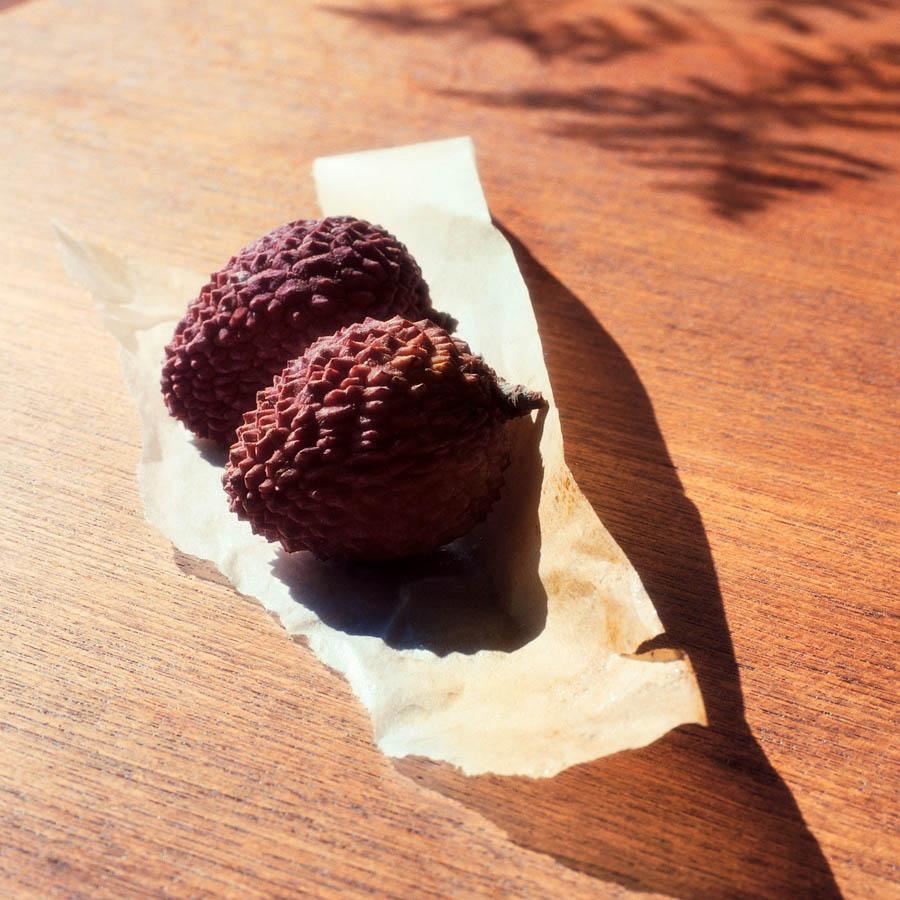 Photography by Jacques Brun