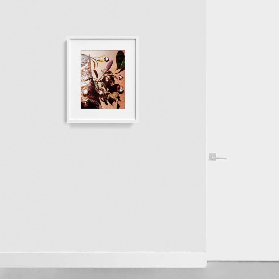 Photography by Jacques Brun