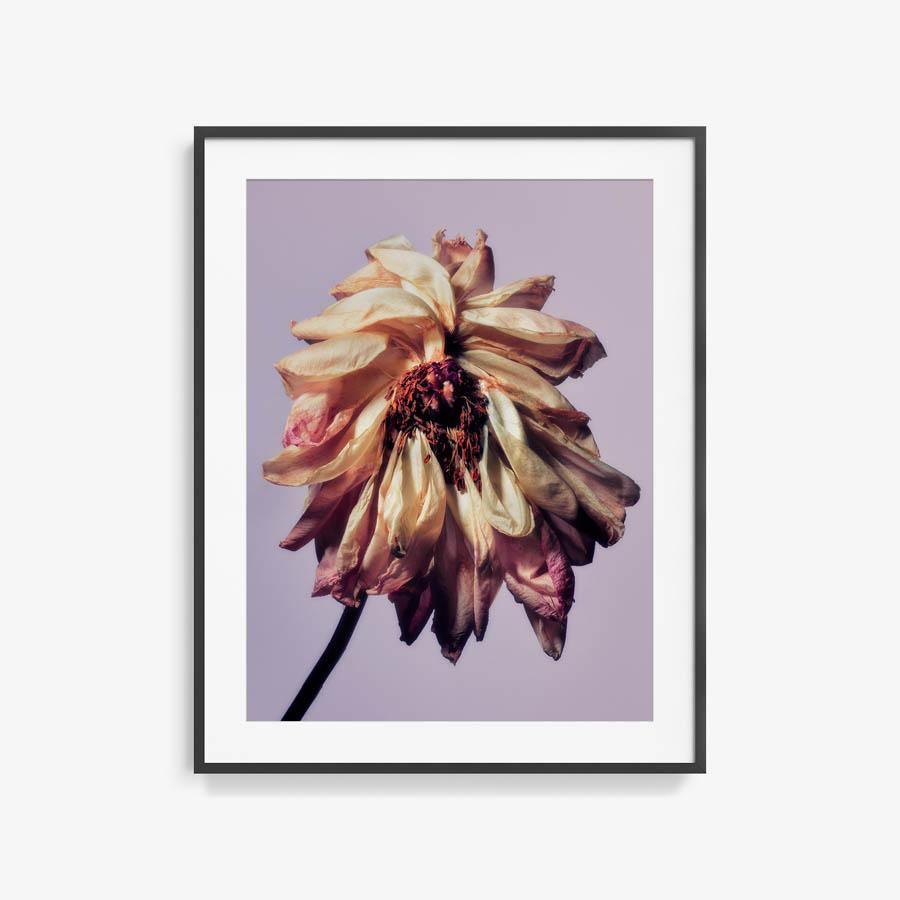 Photography by Jacques Brun