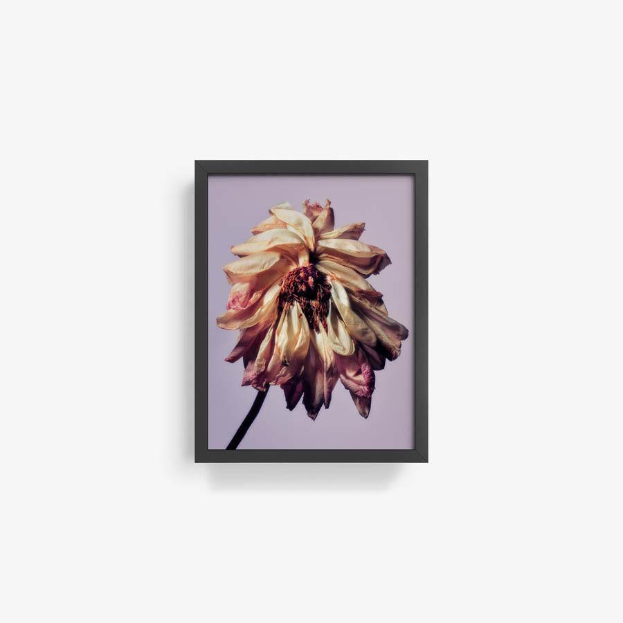 Photography by Jacques Brun