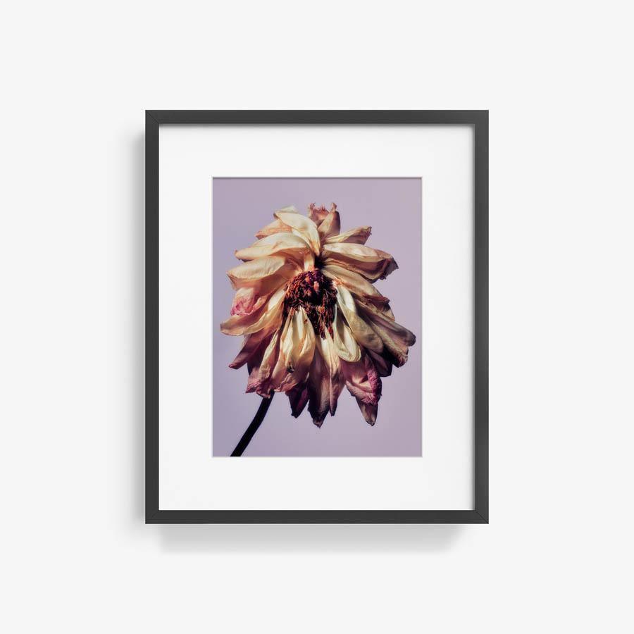 Photography by Jacques Brun