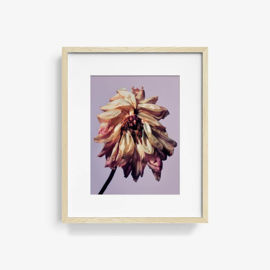 Photography by Jacques Brun