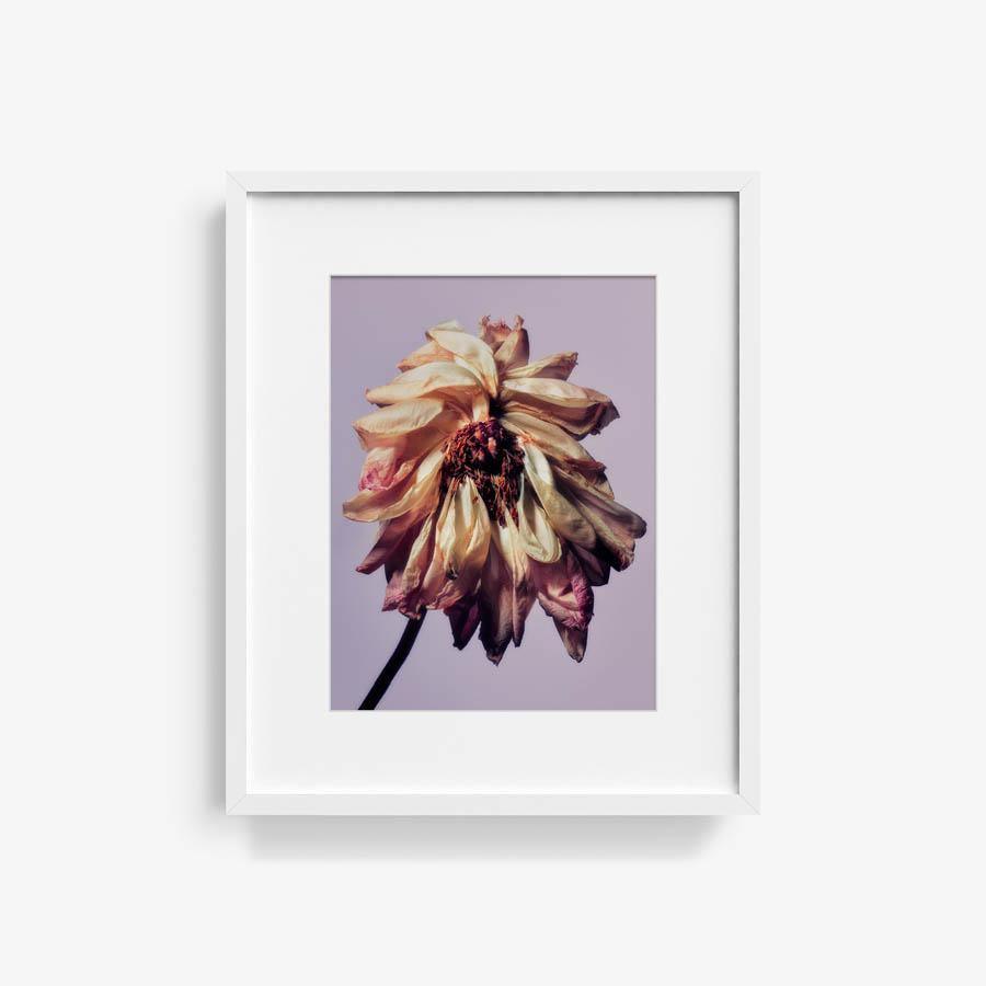 Photography by Jacques Brun