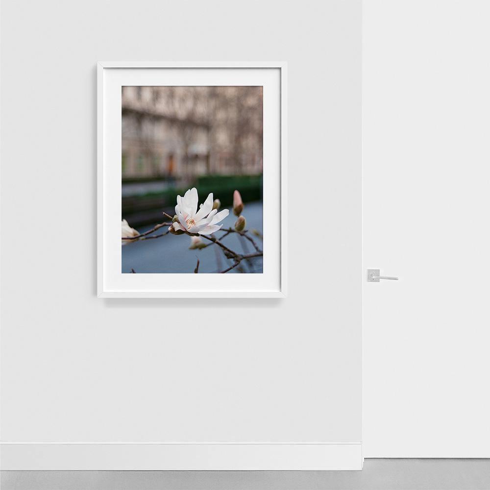 Photograph by Johanna Tagada Hoffbeck
