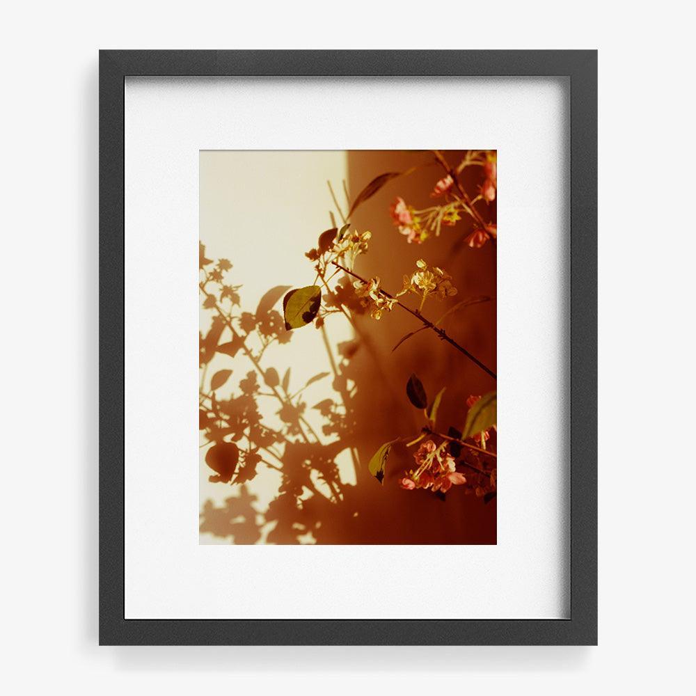 Photograph by Katie Burdon