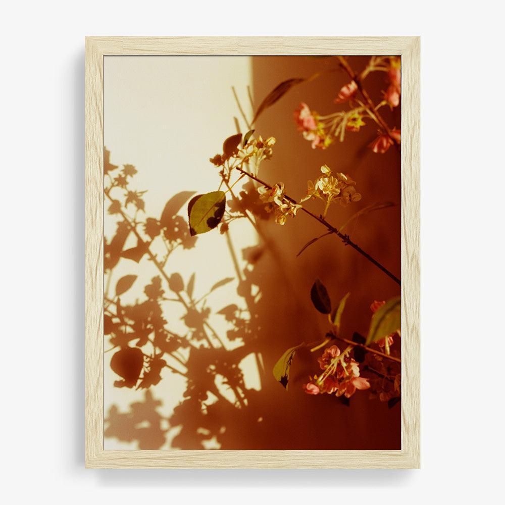 Photograph by Katie Burdon