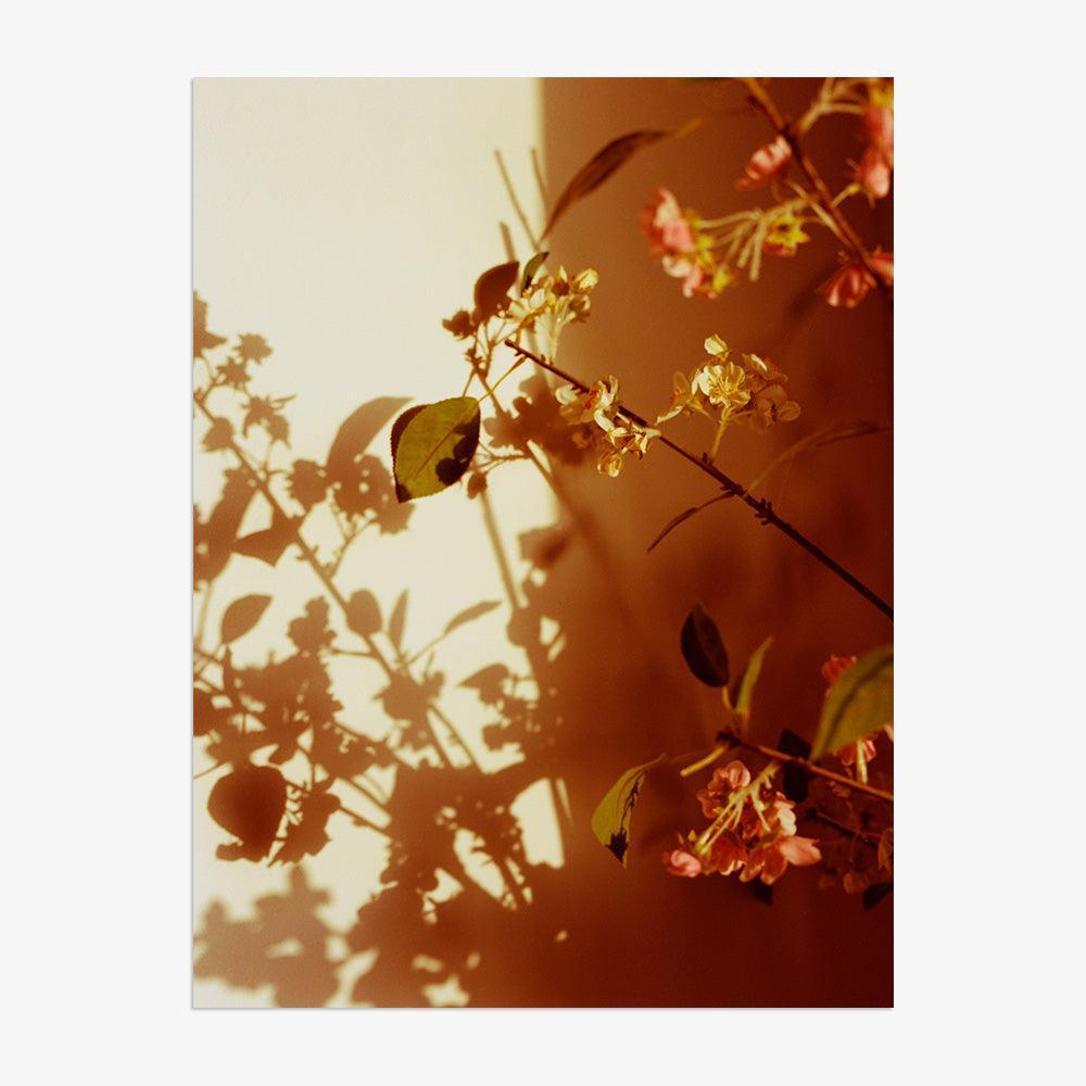 Photograph by Katie Burdon