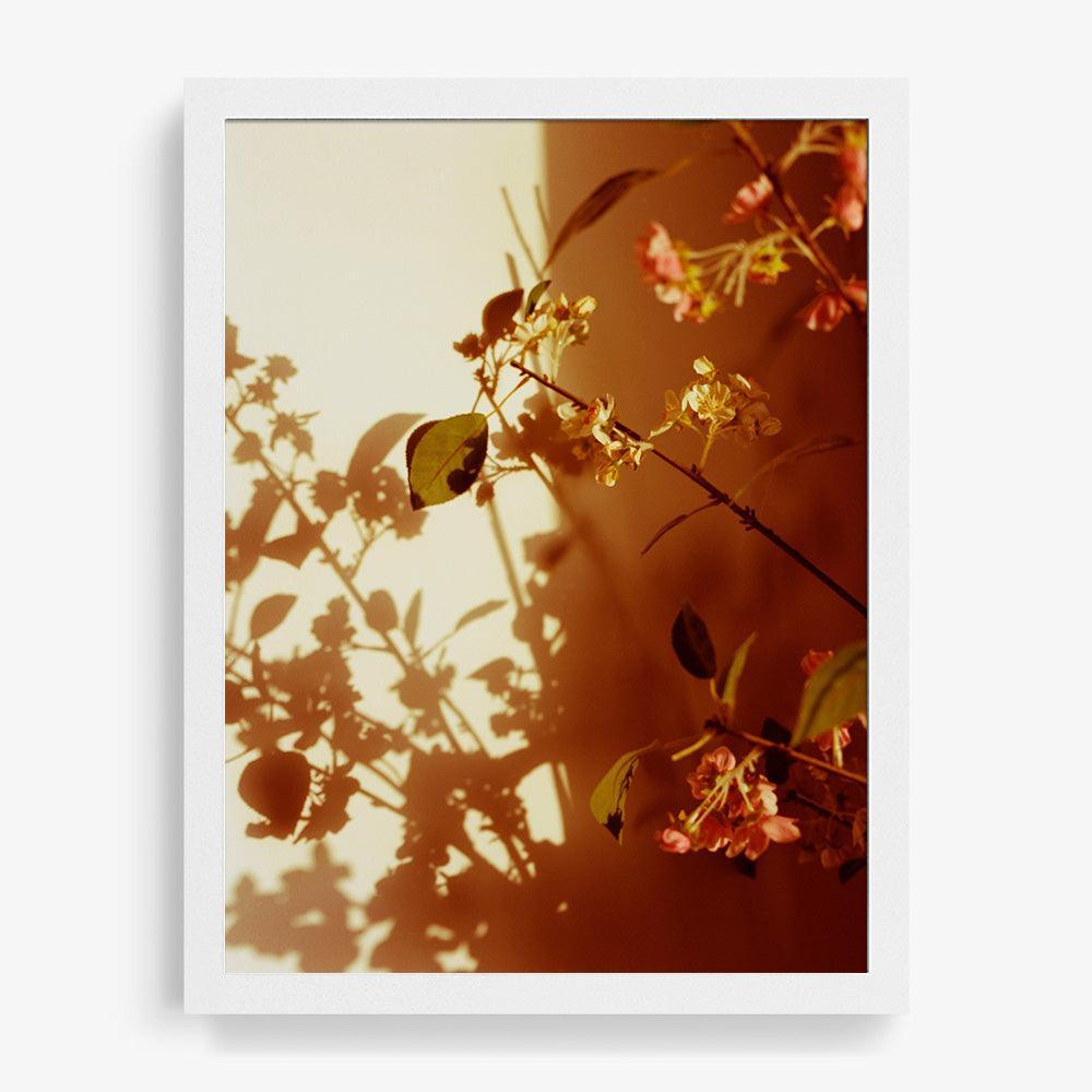 Photograph by Katie Burdon