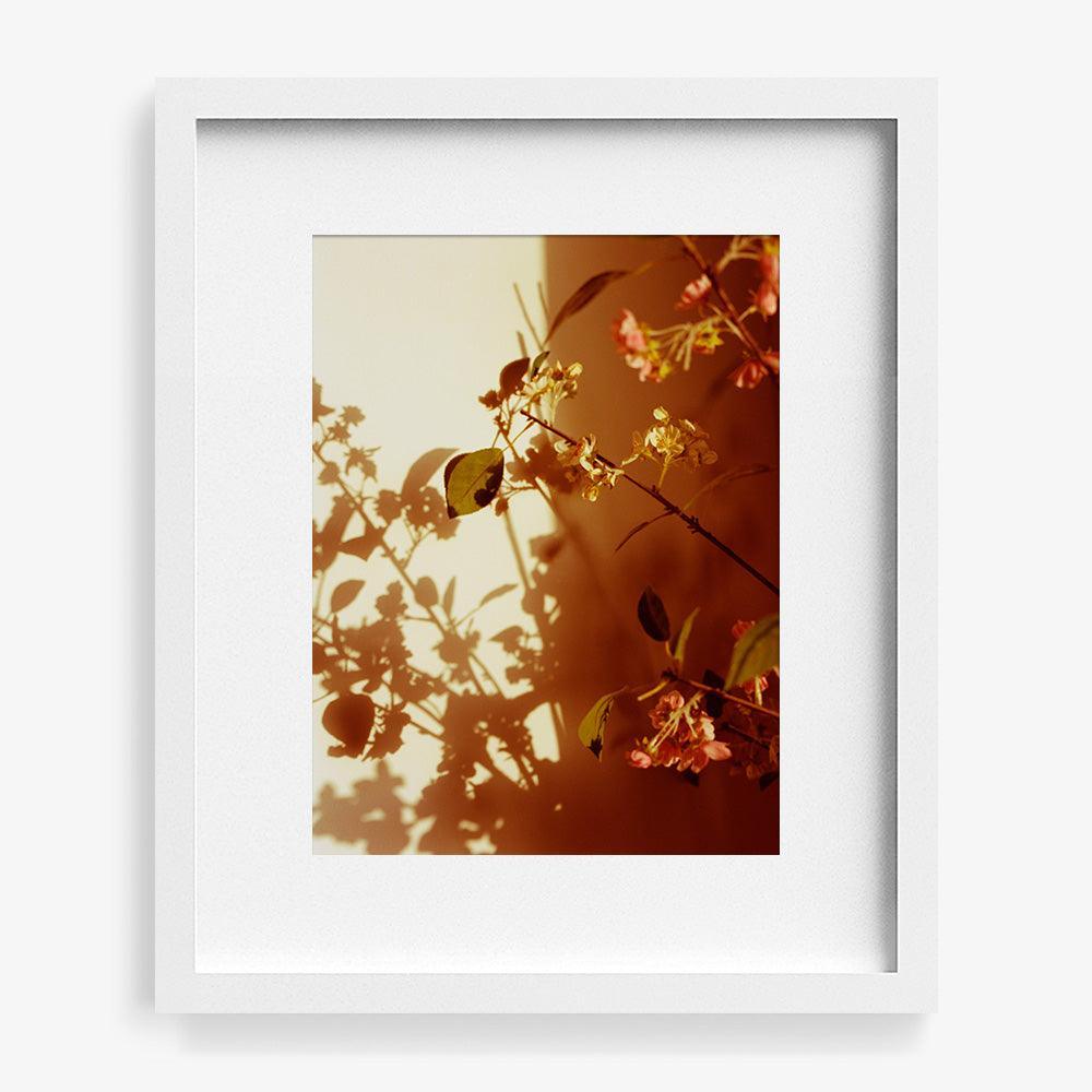 Photograph by Katie Burdon