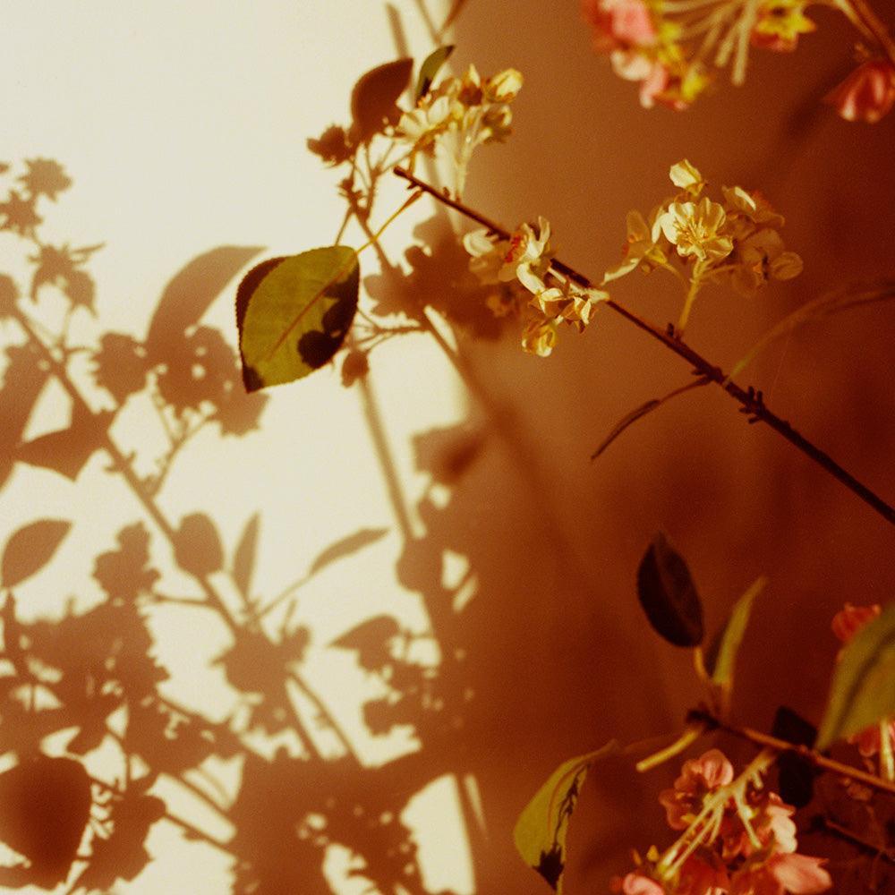 Photograph by Katie Burdon