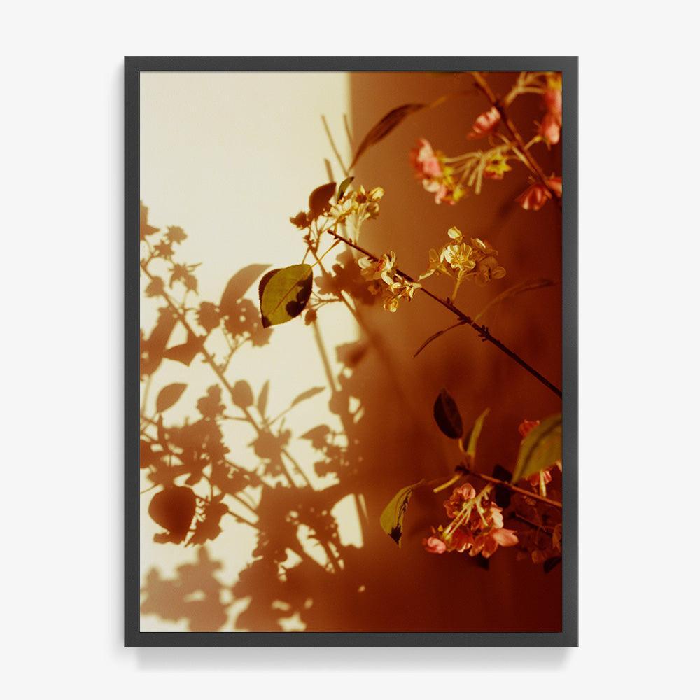 Photograph by Katie Burdon