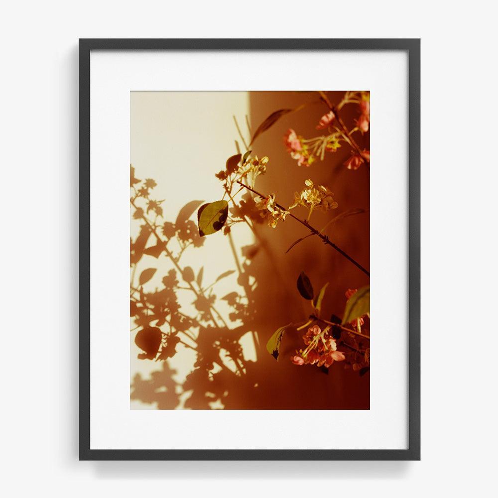 Photograph by Katie Burdon