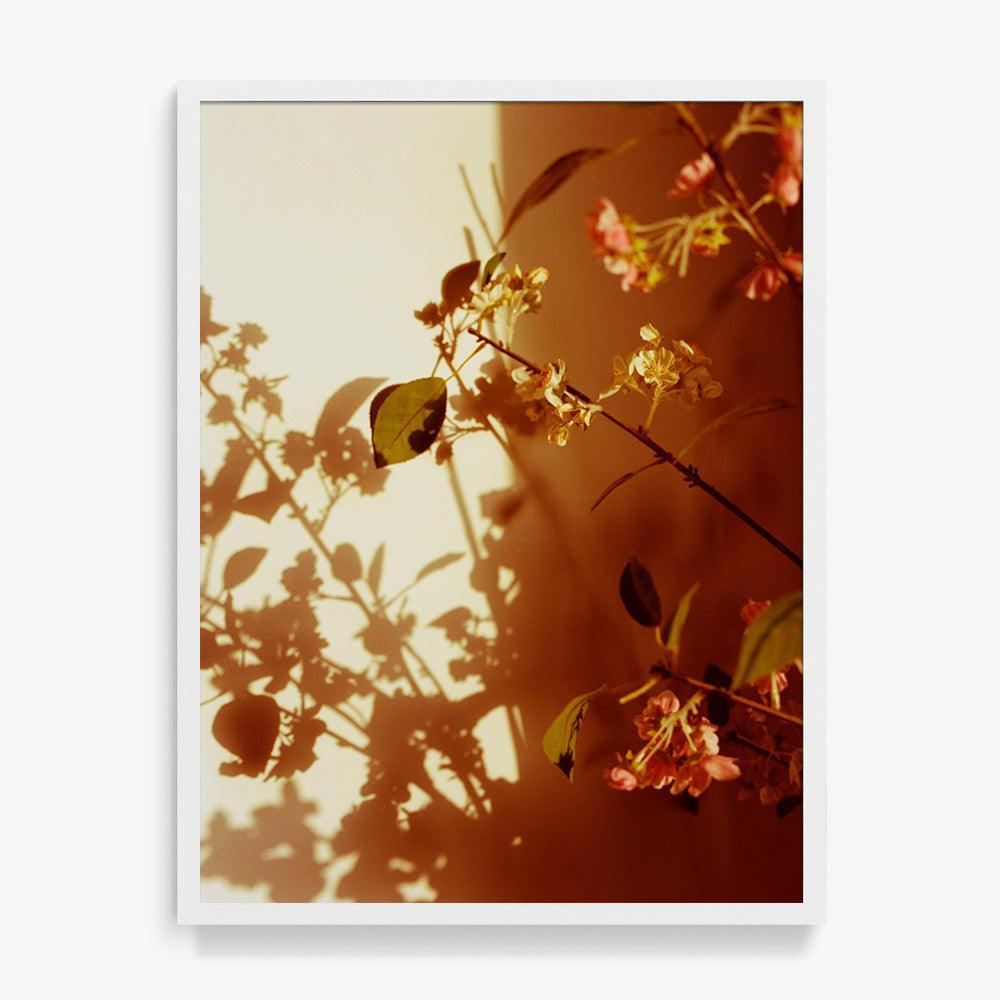 Photograph by Katie Burdon