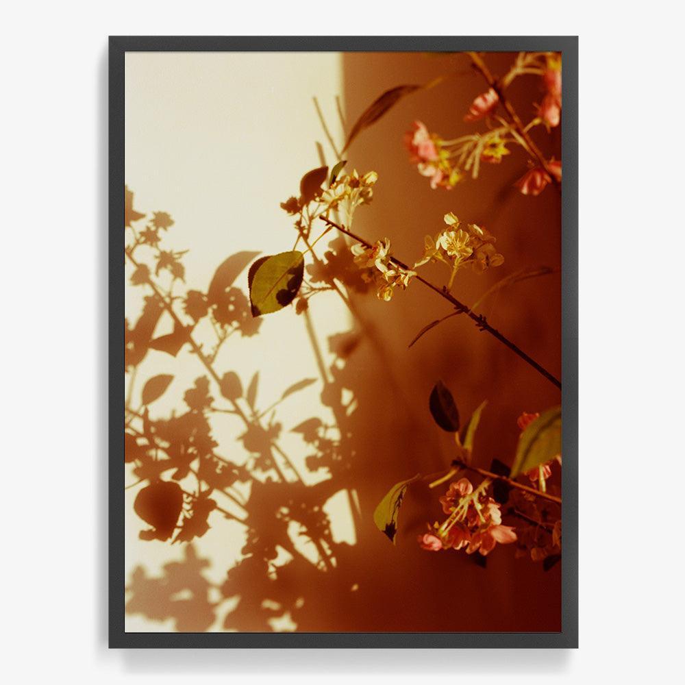 Photograph by Katie Burdon