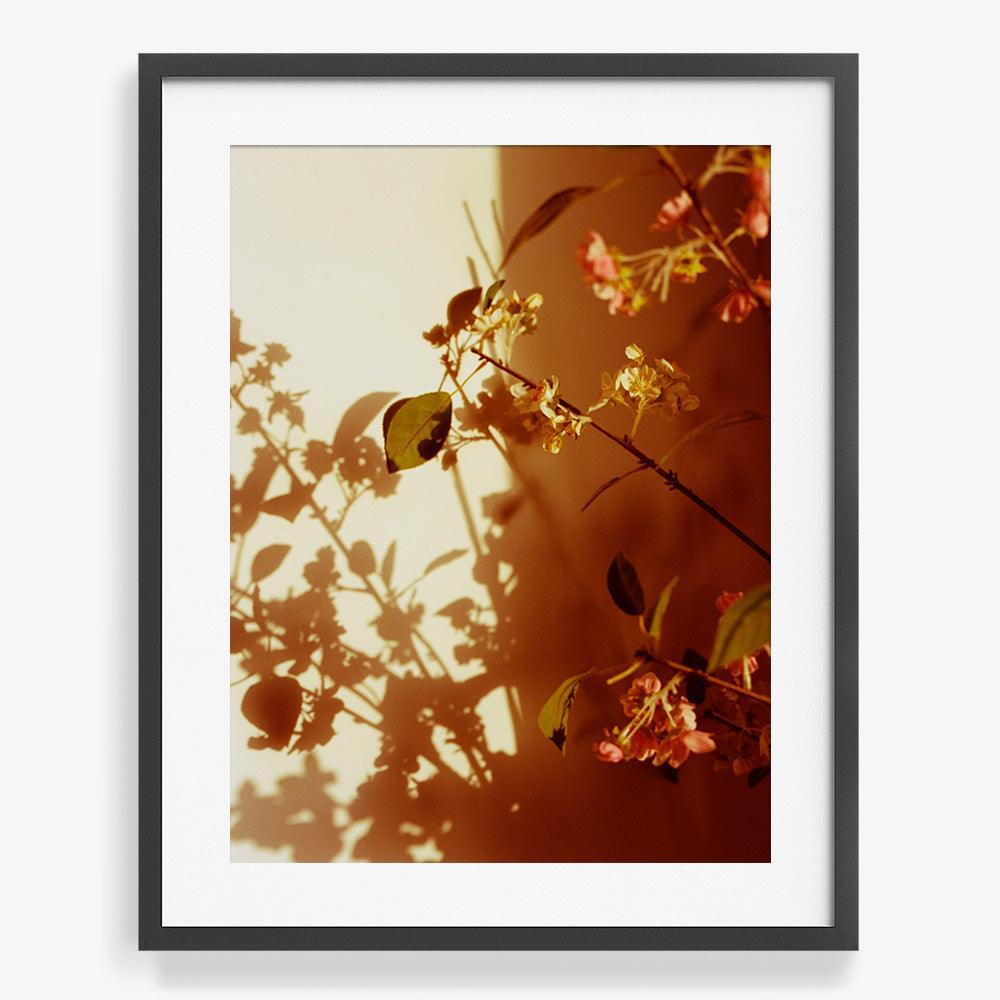 Photograph by Katie Burdon