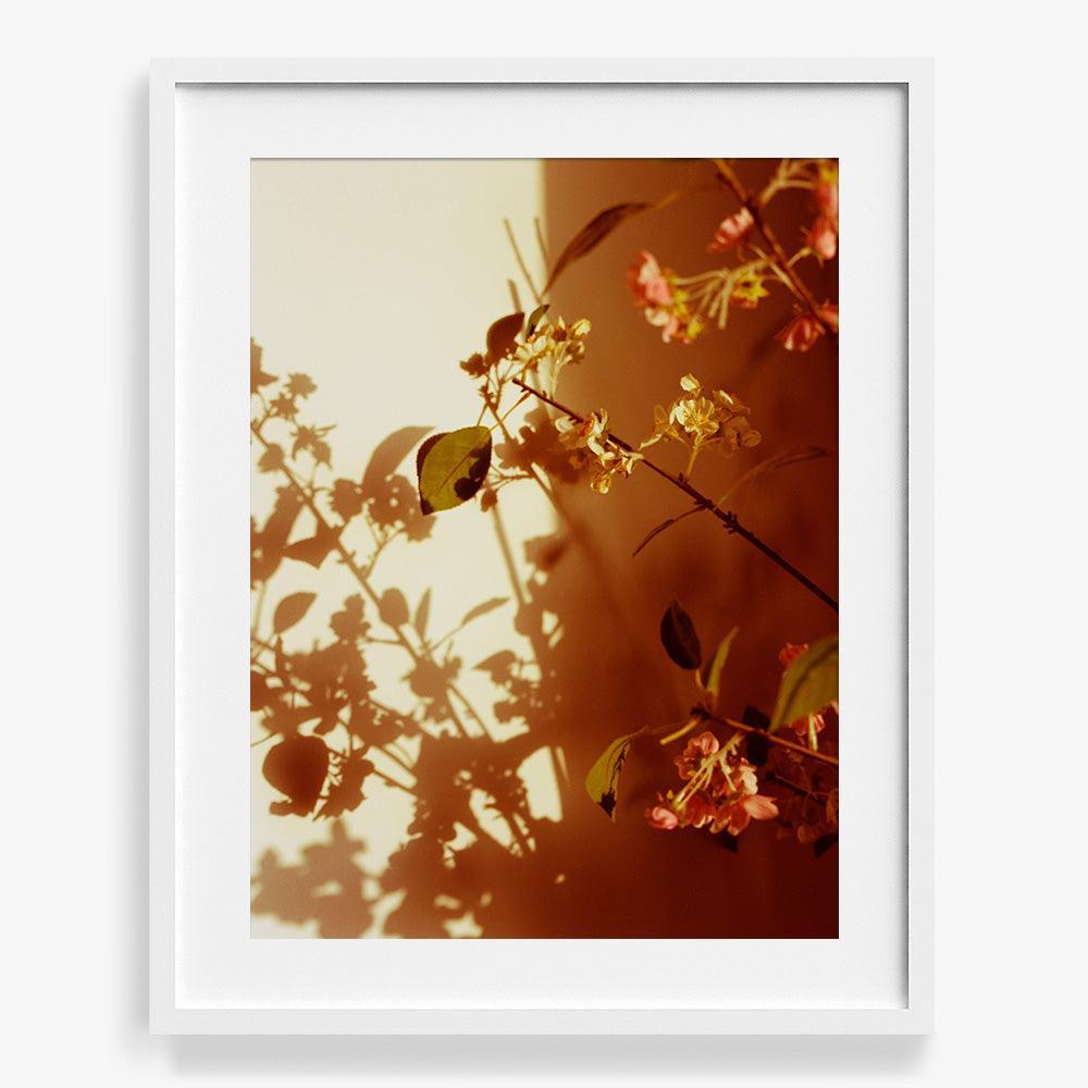 Photograph by Katie Burdon