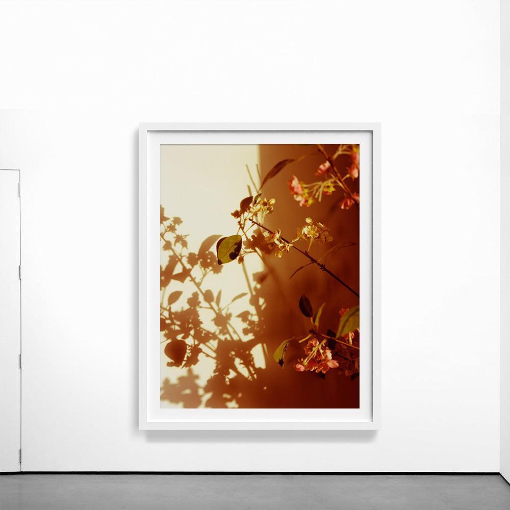 Photograph by Katie Burdon