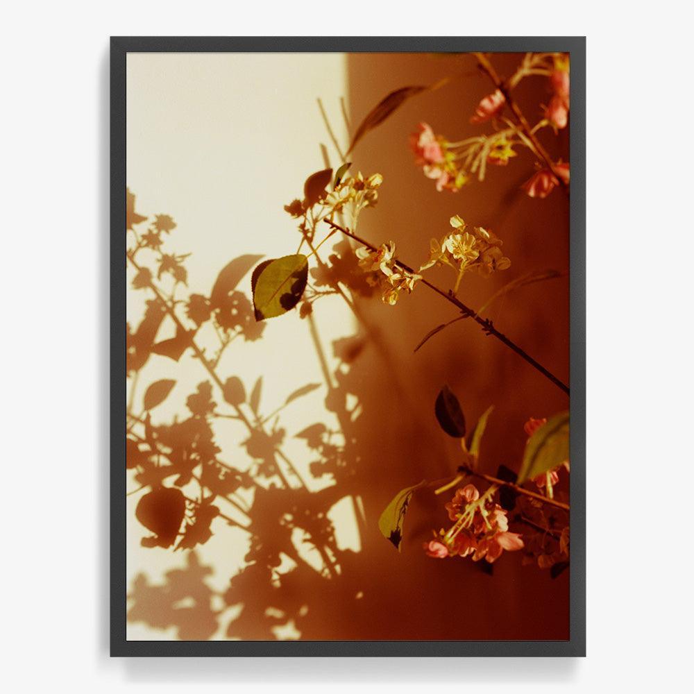 Photograph by Katie Burdon