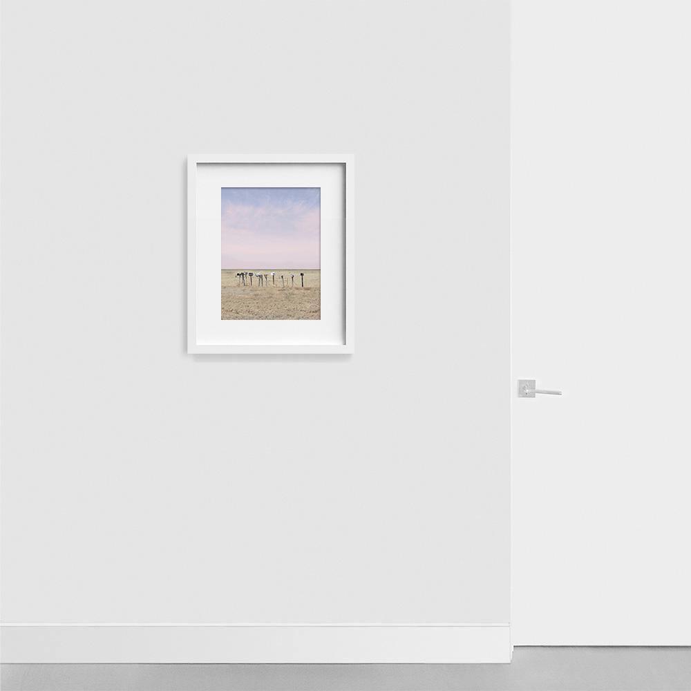 Photograph by James Needham