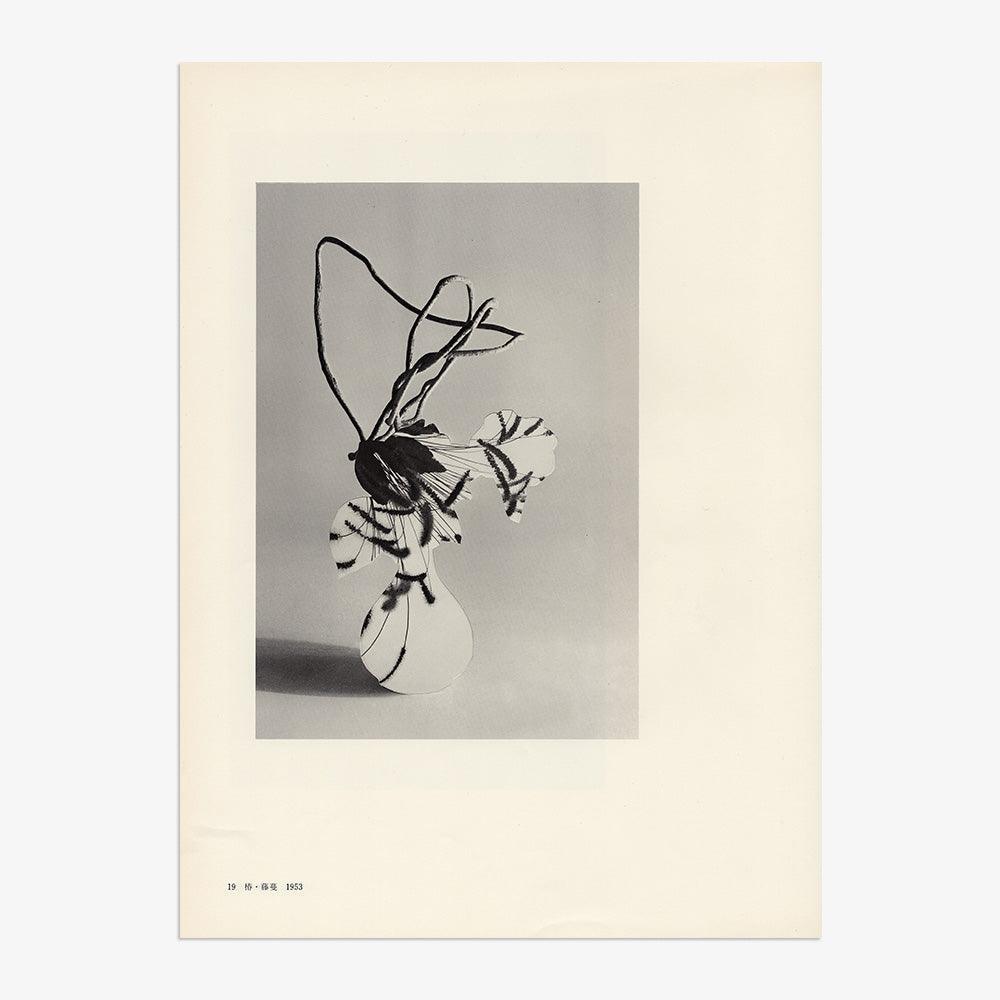 Print by Leigh Wells