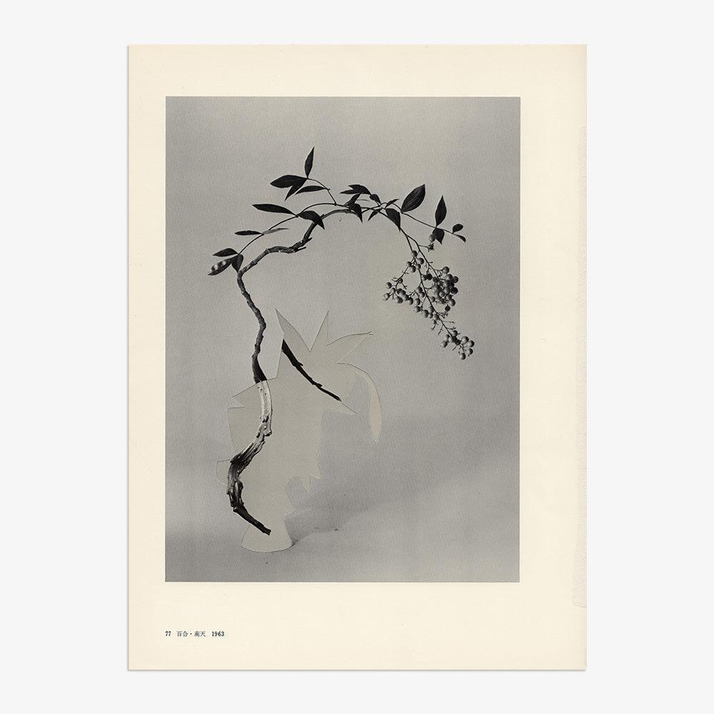 Print by Leigh Wells