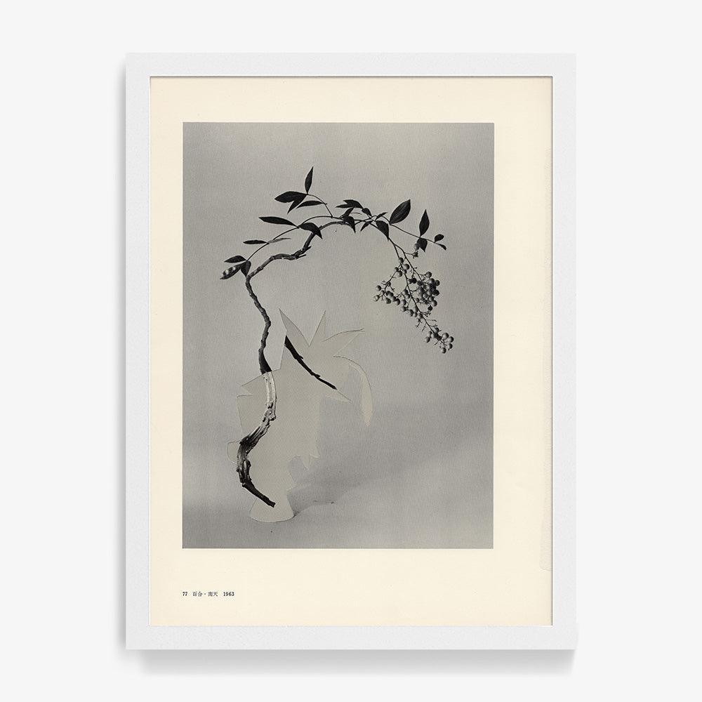 Print by Leigh Wells