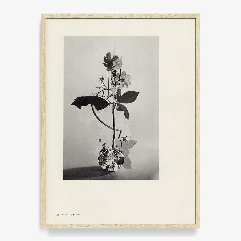 Print by Leigh Wells