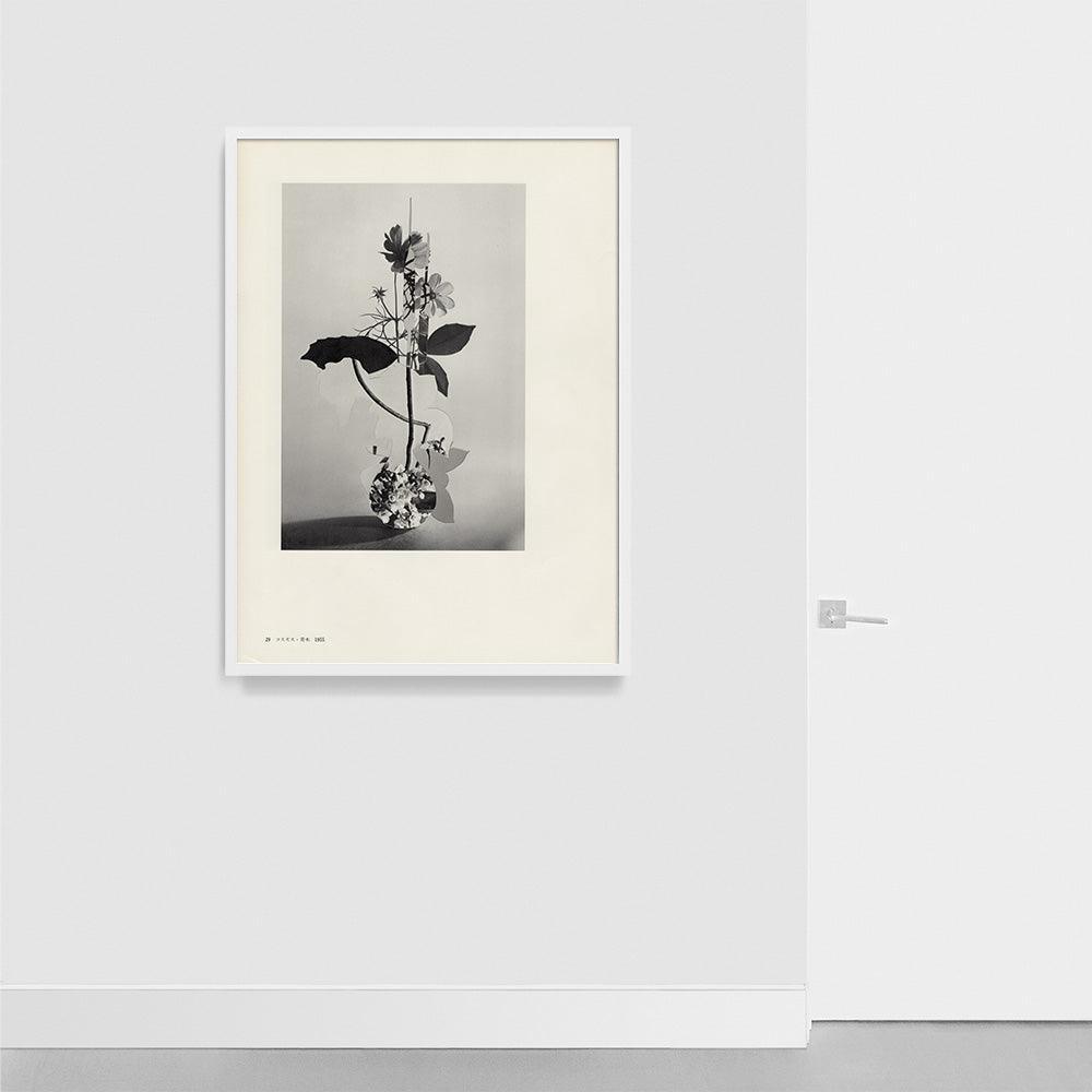 Print by Leigh Wells