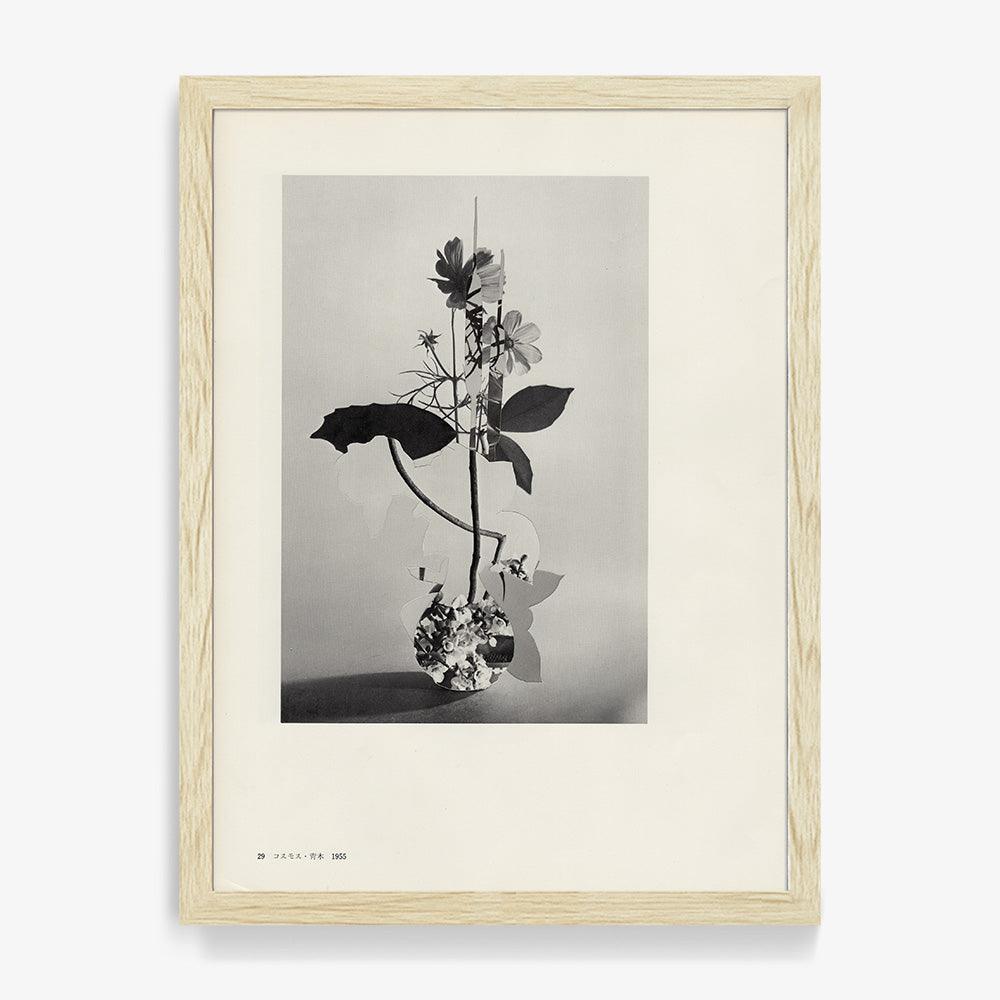 Print by Leigh Wells