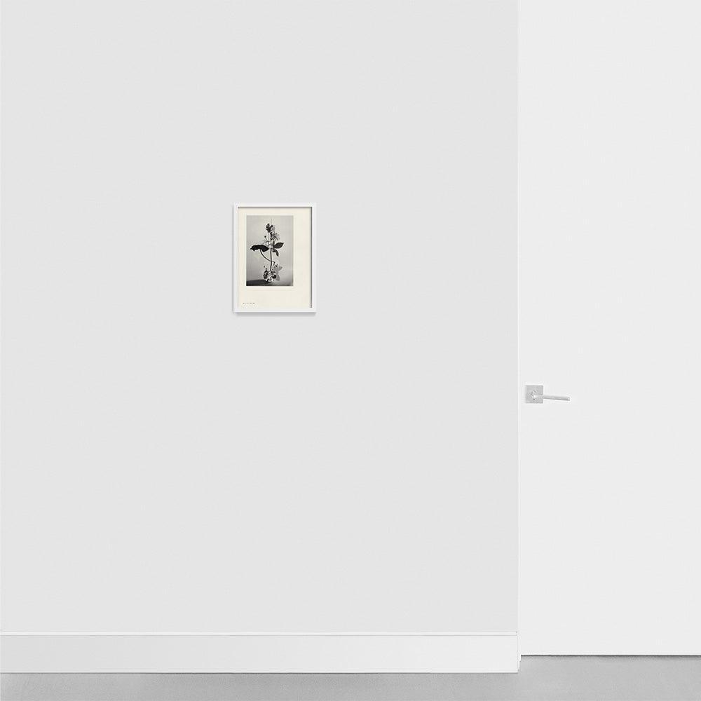 Print by Leigh Wells