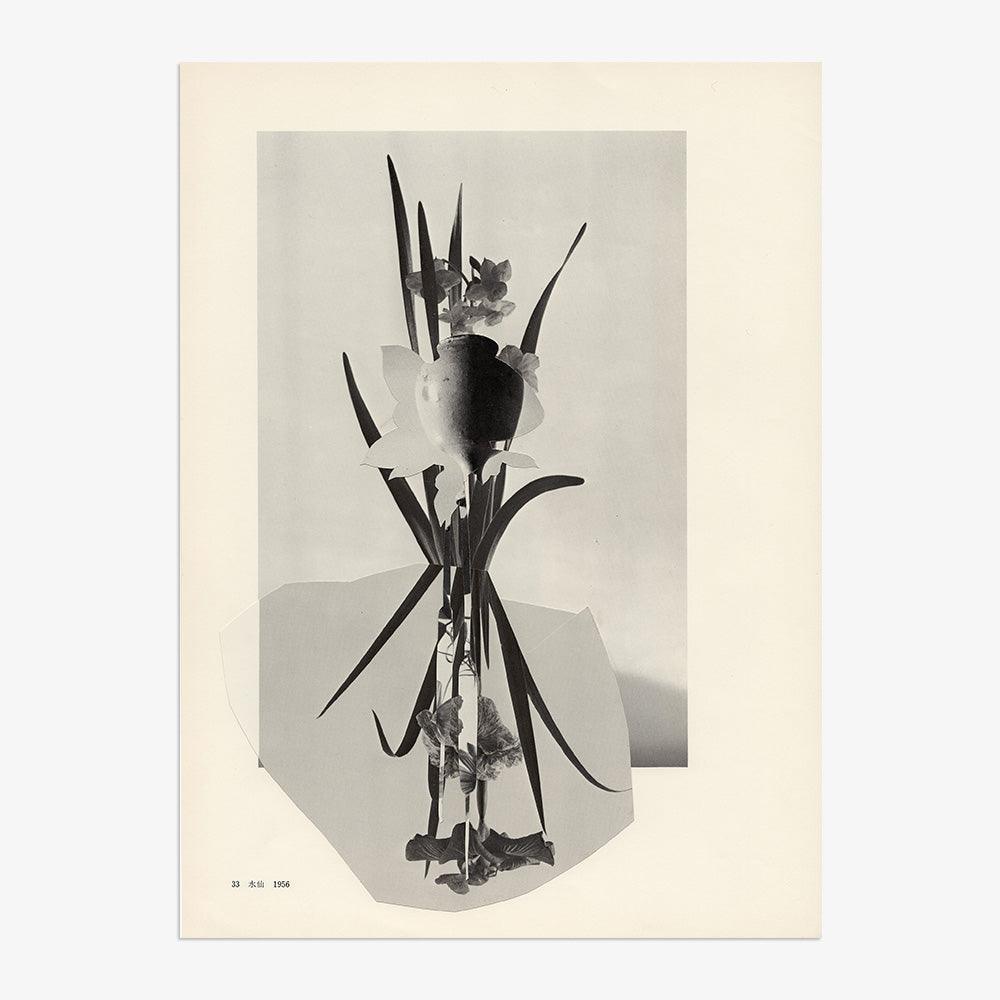 Print by Leigh Wells