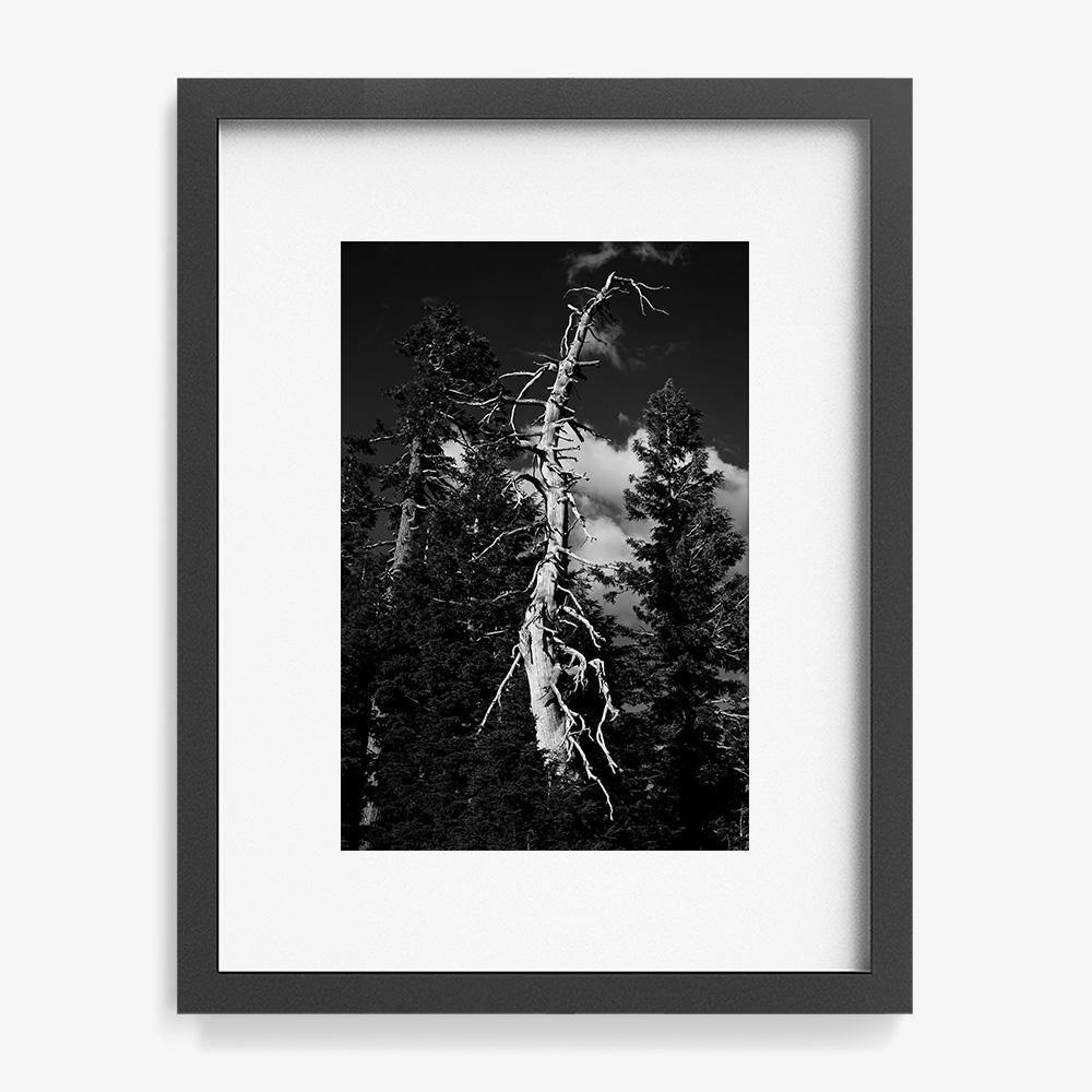 Photograph by Isaac Zoller