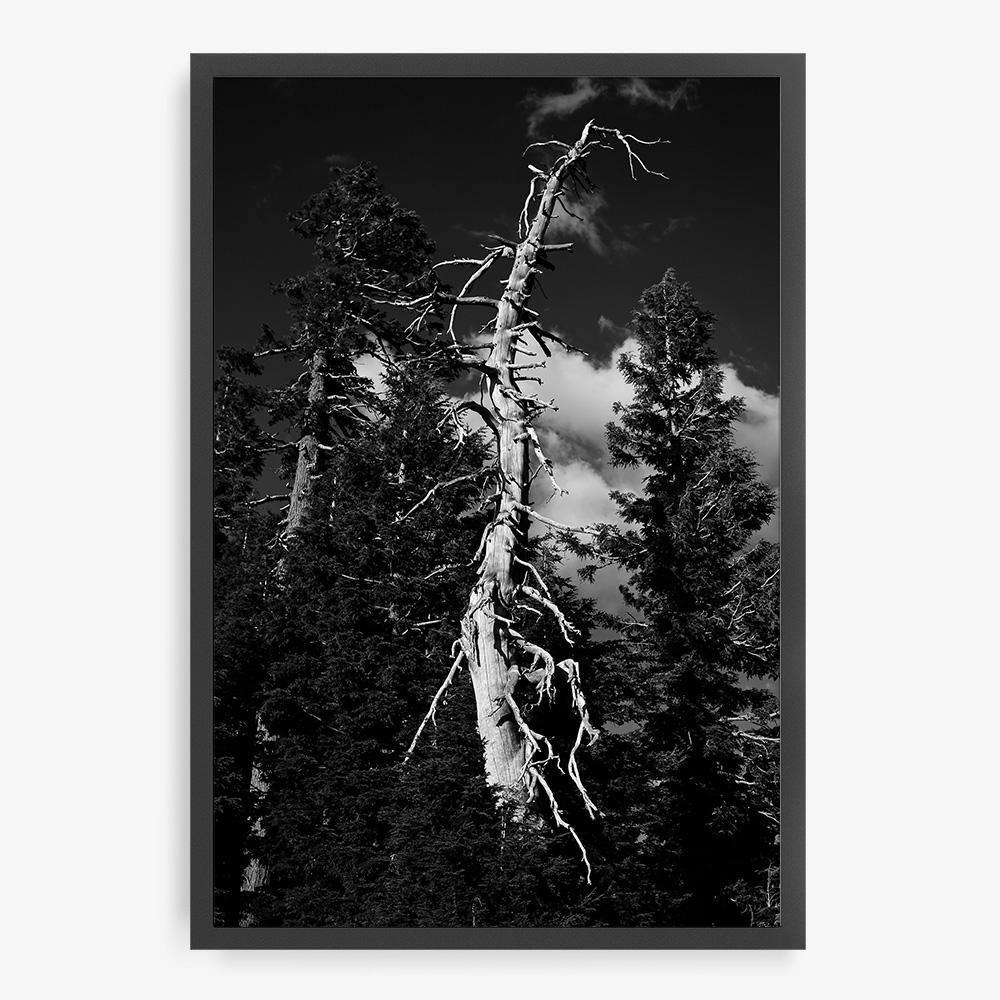 Photograph by Isaac Zoller