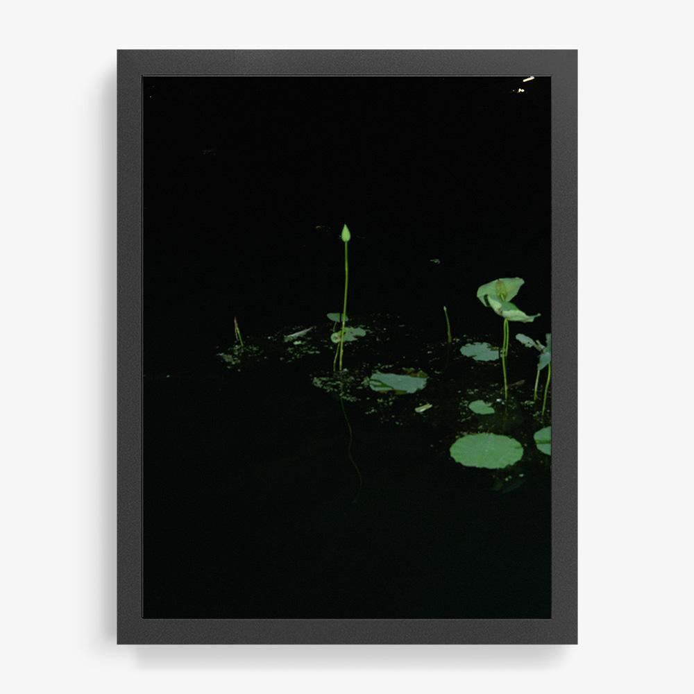 Photograph by Neil Kryszak