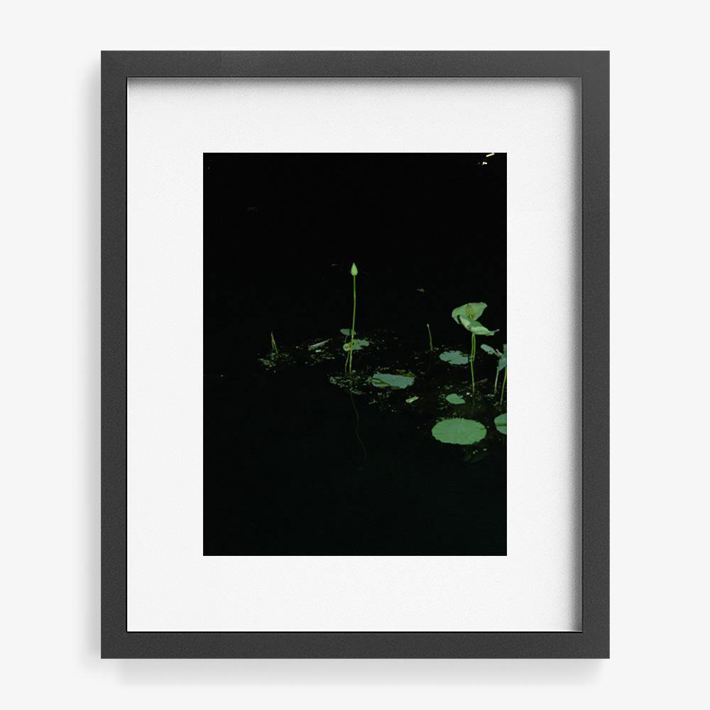 Photograph by Neil Kryszak