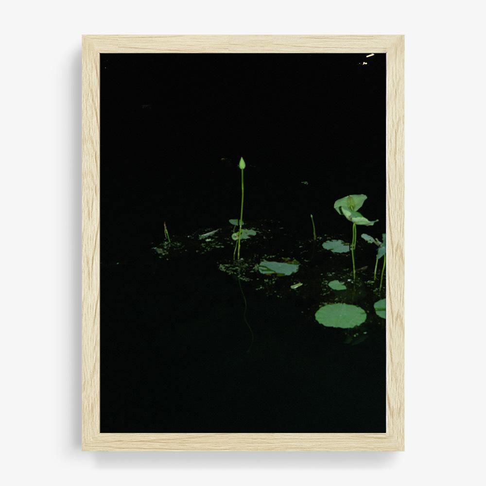 Photograph by Neil Kryszak