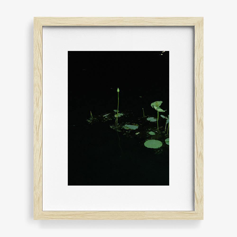 Photograph by Neil Kryszak